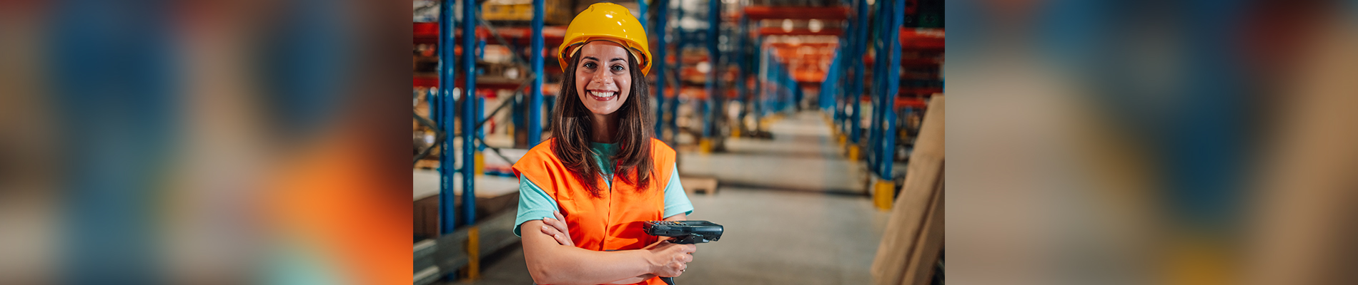 6D Case Study: Powerful Asset Management & Number Control